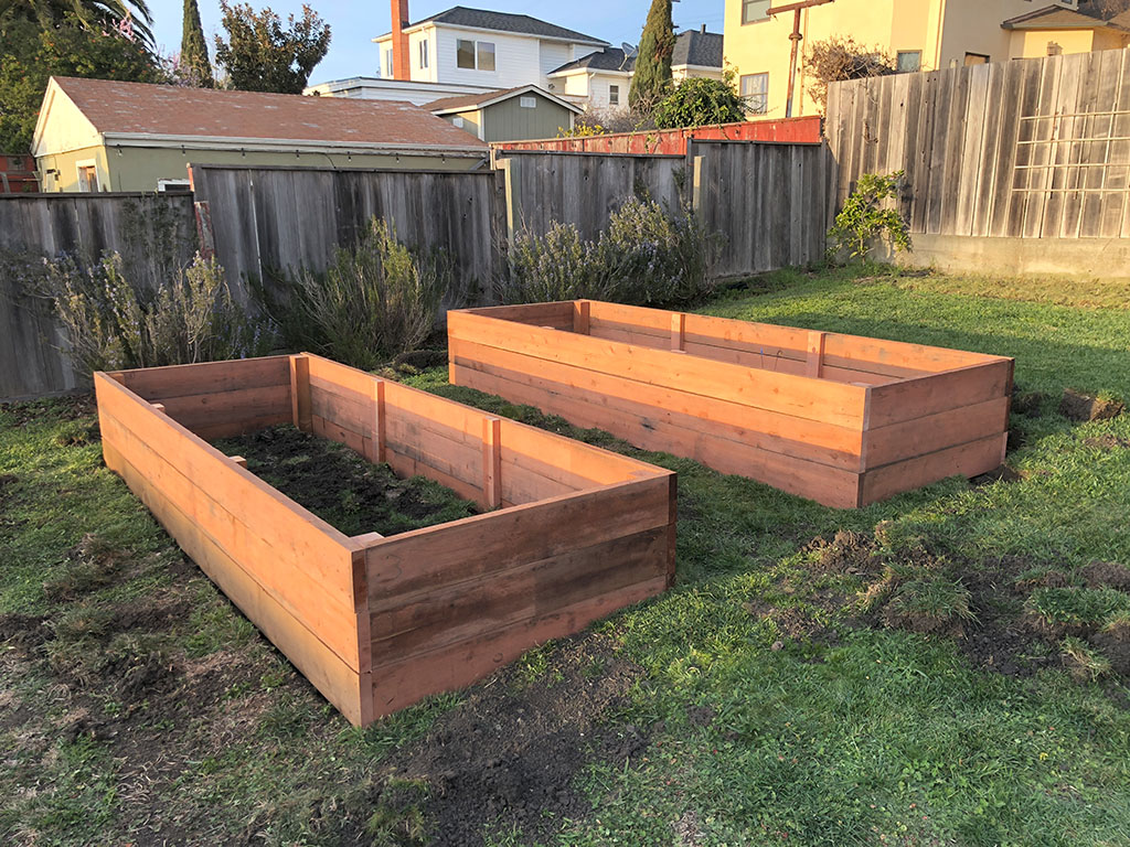 RaisedBeds_005